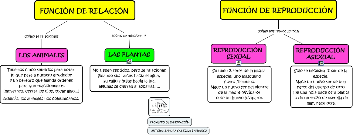 FUNCION DE RELACIÓN Y REPRODUCCIÓN